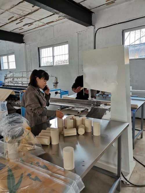 辦衛(wèi)生紙加工廠所需人工及個(gè)人衛(wèi)生用品銷售策略